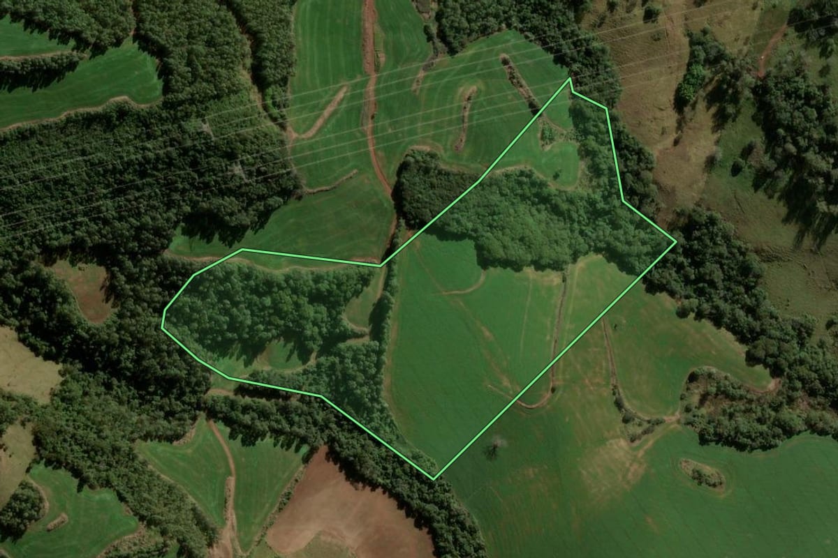 Imagem de satélite do imóvel rural em Ariranha do Ivaí (PR), com o contorno declarado no CAR desenhado por cima.