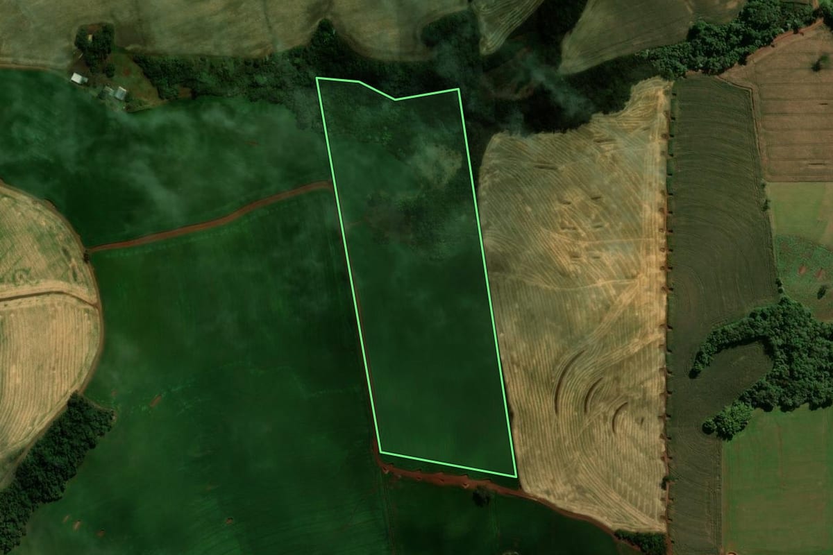 Imagem de satélite do imóvel rural em Ariranha do Ivaí (PR), com o contorno declarado no CAR desenhado por cima.
