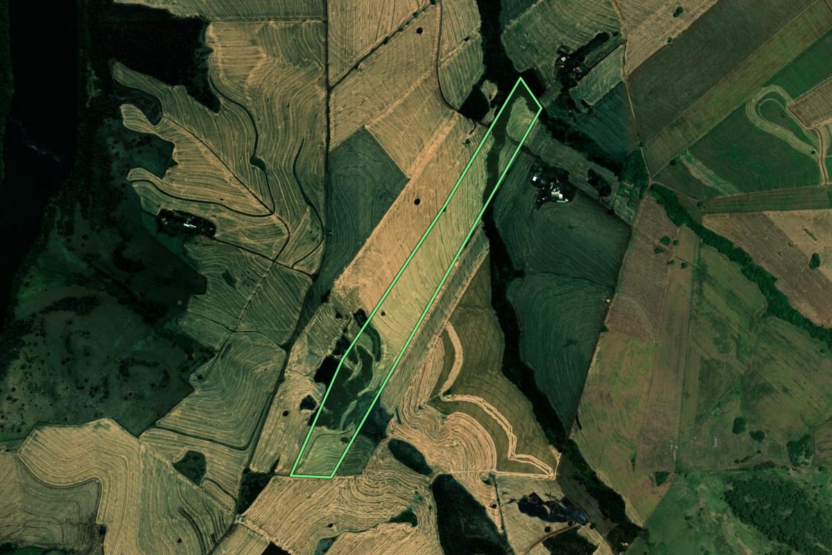 Imagem de satélite do imóvel rural em Assaí (PR), com o contorno declarado no CAR desenhado por cima.