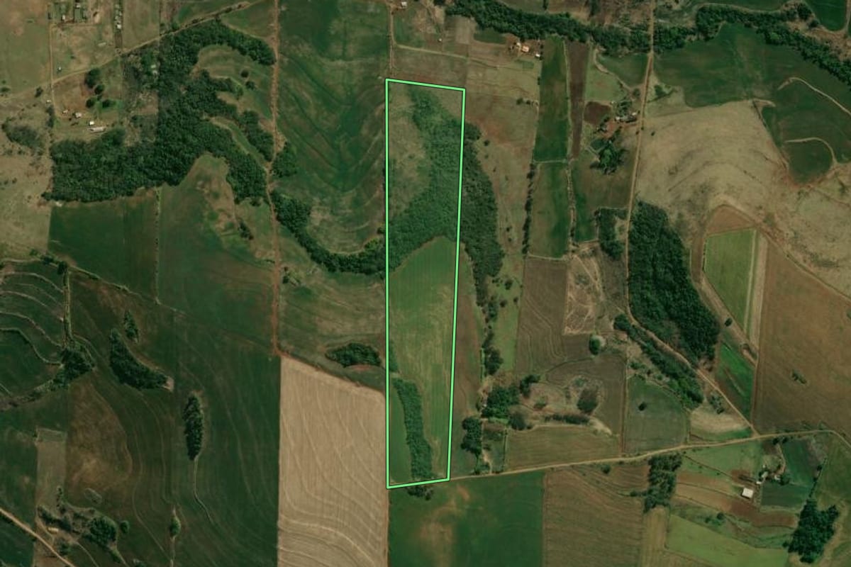 Imagem de satélite do imóvel rural em Assaí (PR), com o contorno declarado no CAR desenhado por cima.