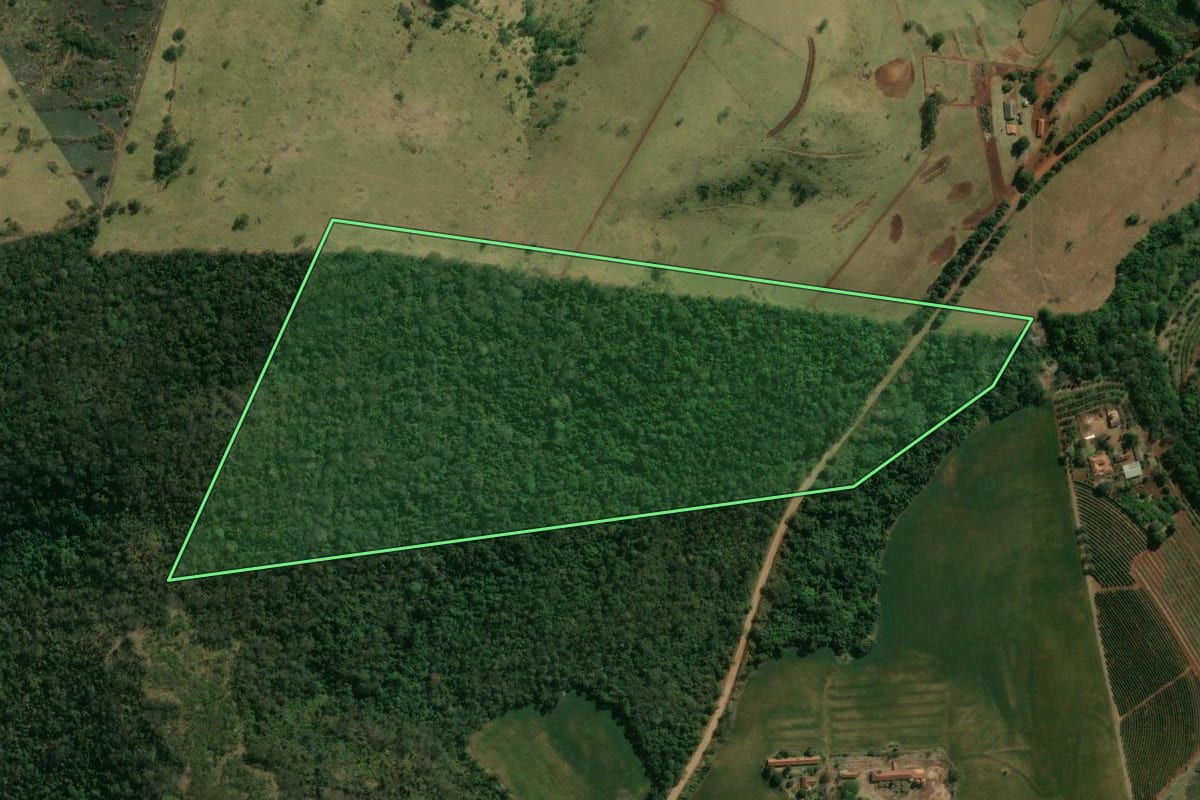 Imagem de satélite do imóvel rural em Assaí (PR), com o contorno declarado no CAR desenhado por cima.