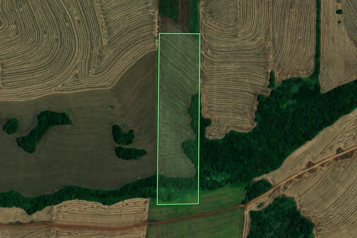 Imagem de satélite do imóvel rural em Assaí (PR), com o contorno declarado no CAR desenhado por cima.