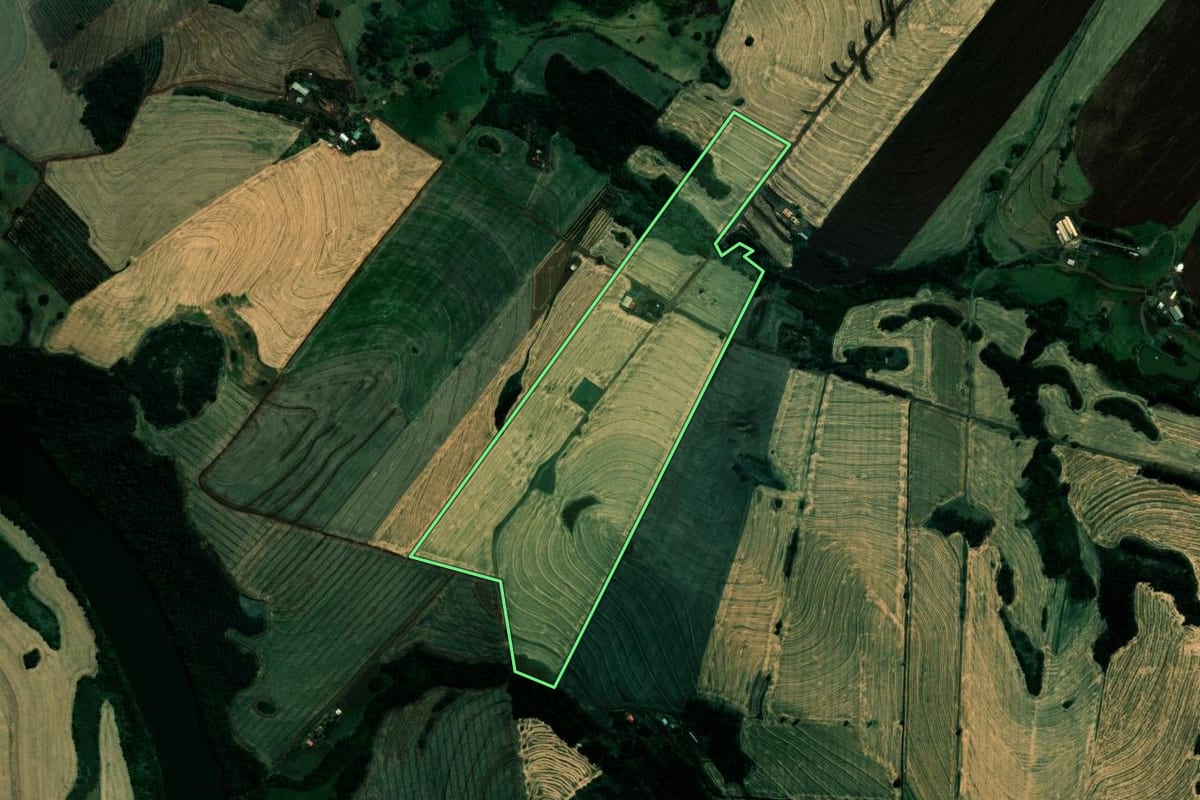 Imagem de satélite do imóvel rural em Assaí (PR), com o contorno declarado no CAR desenhado por cima.