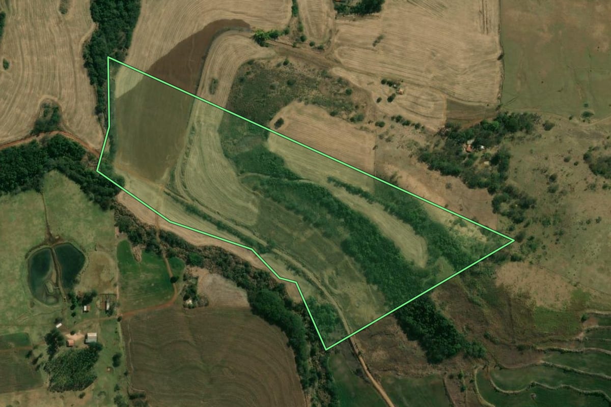 Imagem de satélite do imóvel rural em Assaí (PR), com o contorno declarado no CAR desenhado por cima.