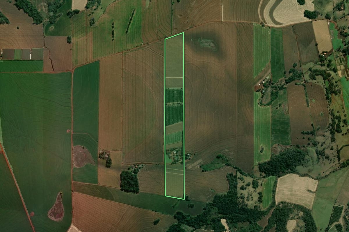 Imagem de satélite do imóvel rural em Assaí (PR), com o contorno declarado no CAR desenhado por cima.