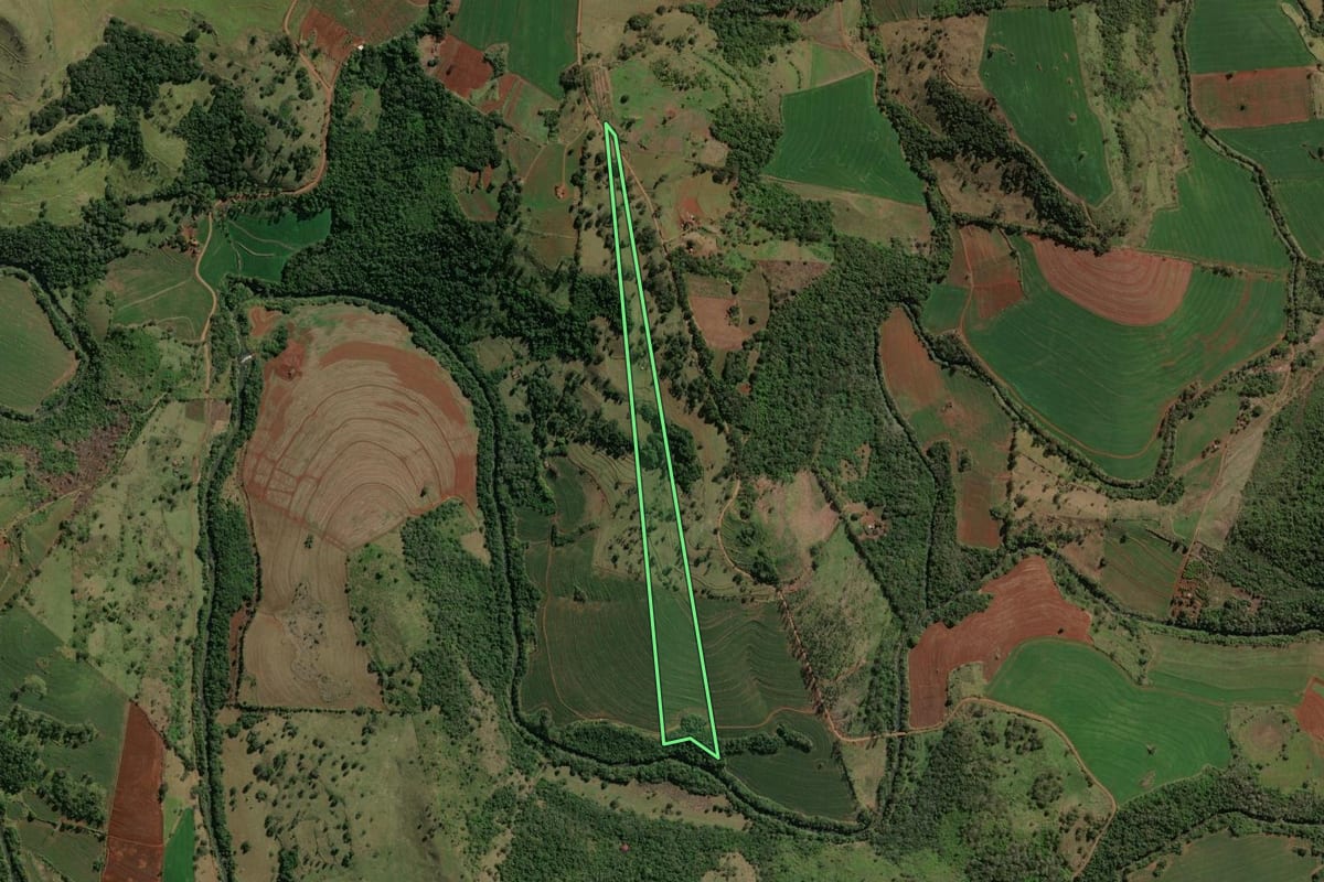Imagem de satélite do imóvel rural em Assaí (PR), com o contorno declarado no CAR desenhado por cima.