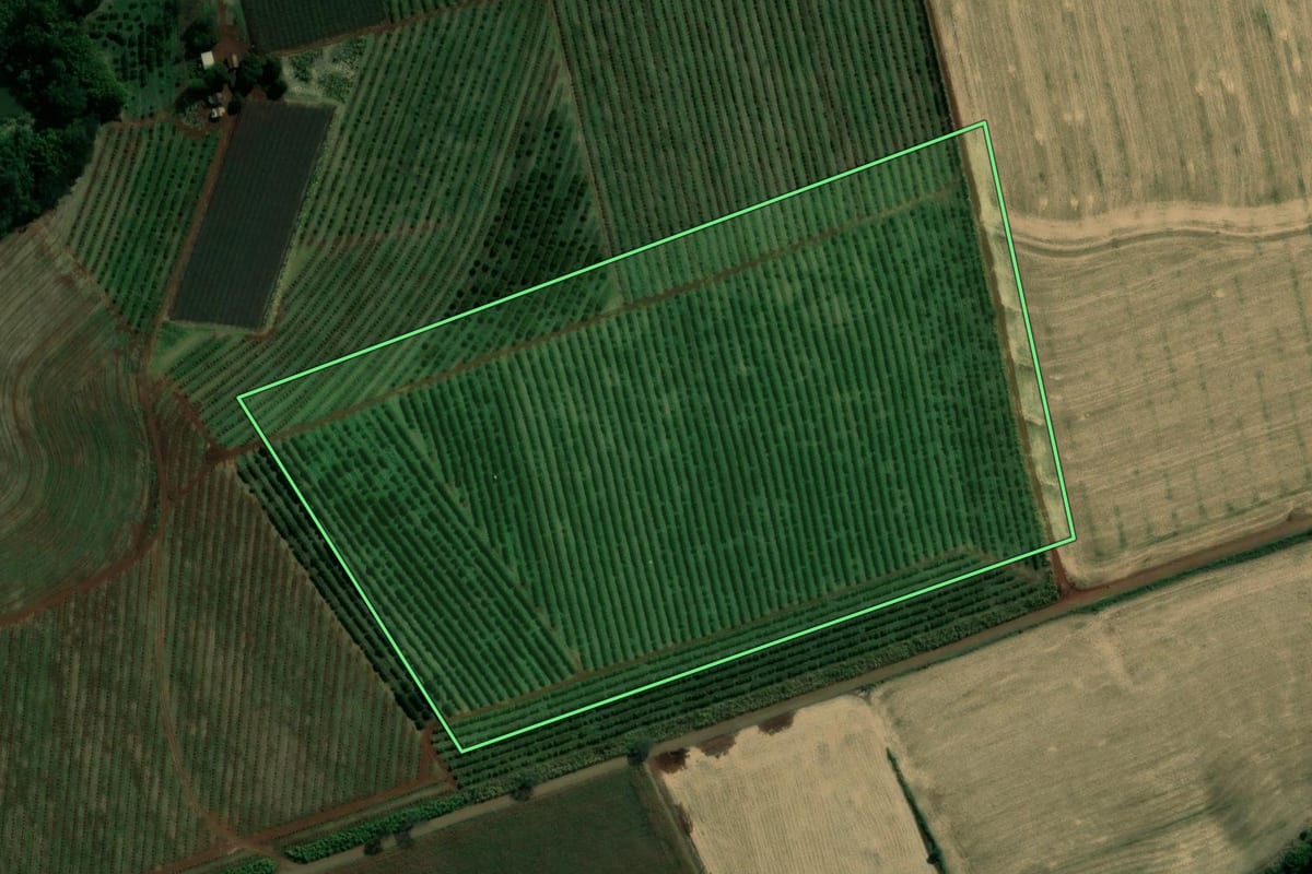 Imagem de satélite do imóvel rural em Assaí (PR), com o contorno declarado no CAR desenhado por cima.