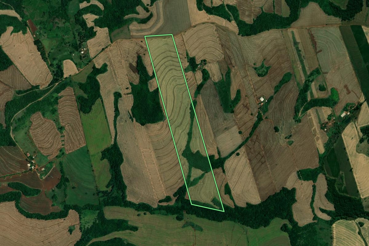 Imagem de satélite do imóvel rural em Assaí (PR), com o contorno declarado no CAR desenhado por cima.