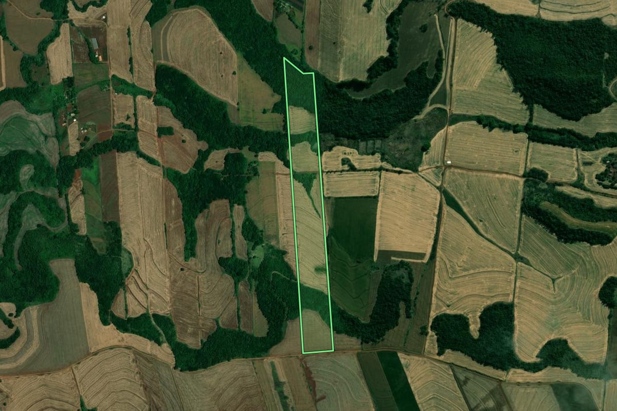 Imagem de satélite do imóvel rural em Assaí (PR), com o contorno declarado no CAR desenhado por cima.