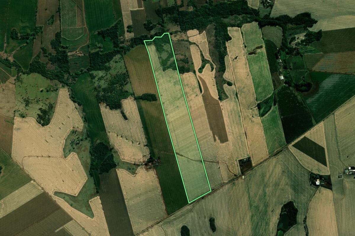 Imagem de satélite do imóvel rural em Assaí (PR), com o contorno declarado no CAR desenhado por cima.