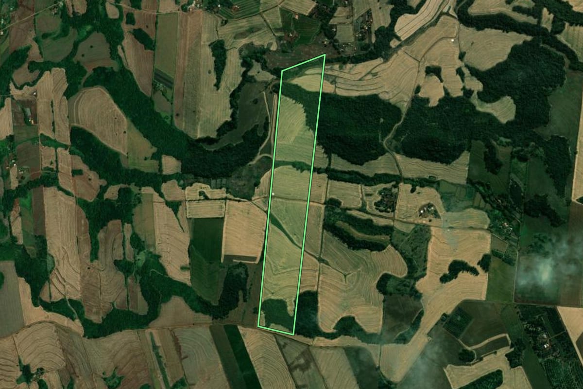 Imagem de satélite do imóvel rural em Assaí (PR), com o contorno declarado no CAR desenhado por cima.