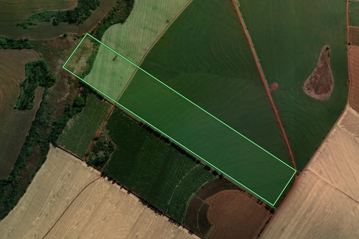 Imagem de satélite do imóvel rural em Assaí (PR), com o contorno declarado no CAR desenhado por cima.