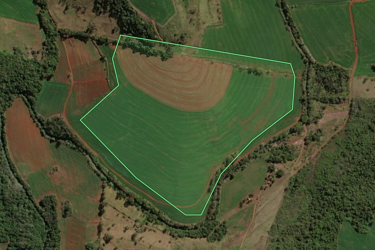 Imagem de satélite do imóvel rural em Assaí (PR), com o contorno declarado no CAR desenhado por cima.