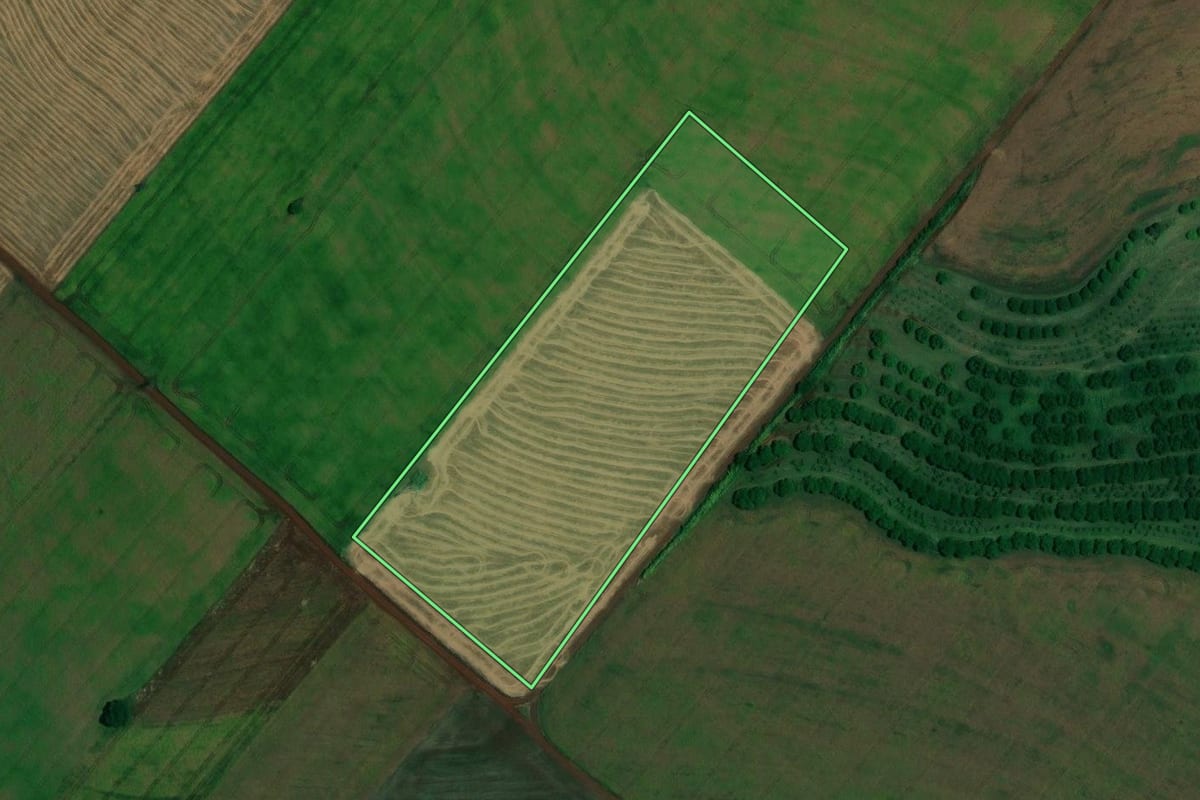 Imagem de satélite do imóvel rural em Assaí (PR), com o contorno declarado no CAR desenhado por cima.