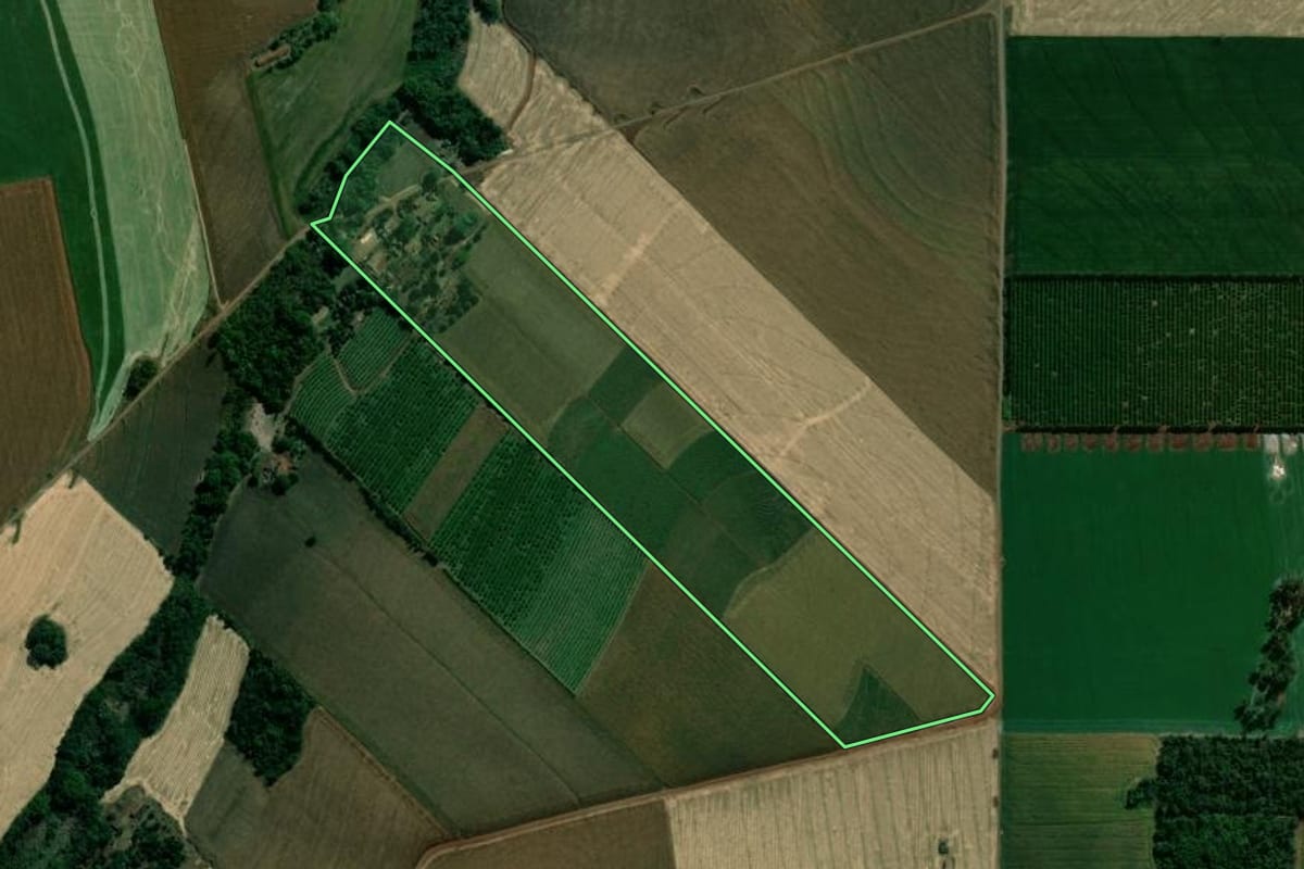 Imagem de satélite do imóvel rural em Assaí (PR), com o contorno declarado no CAR desenhado por cima.