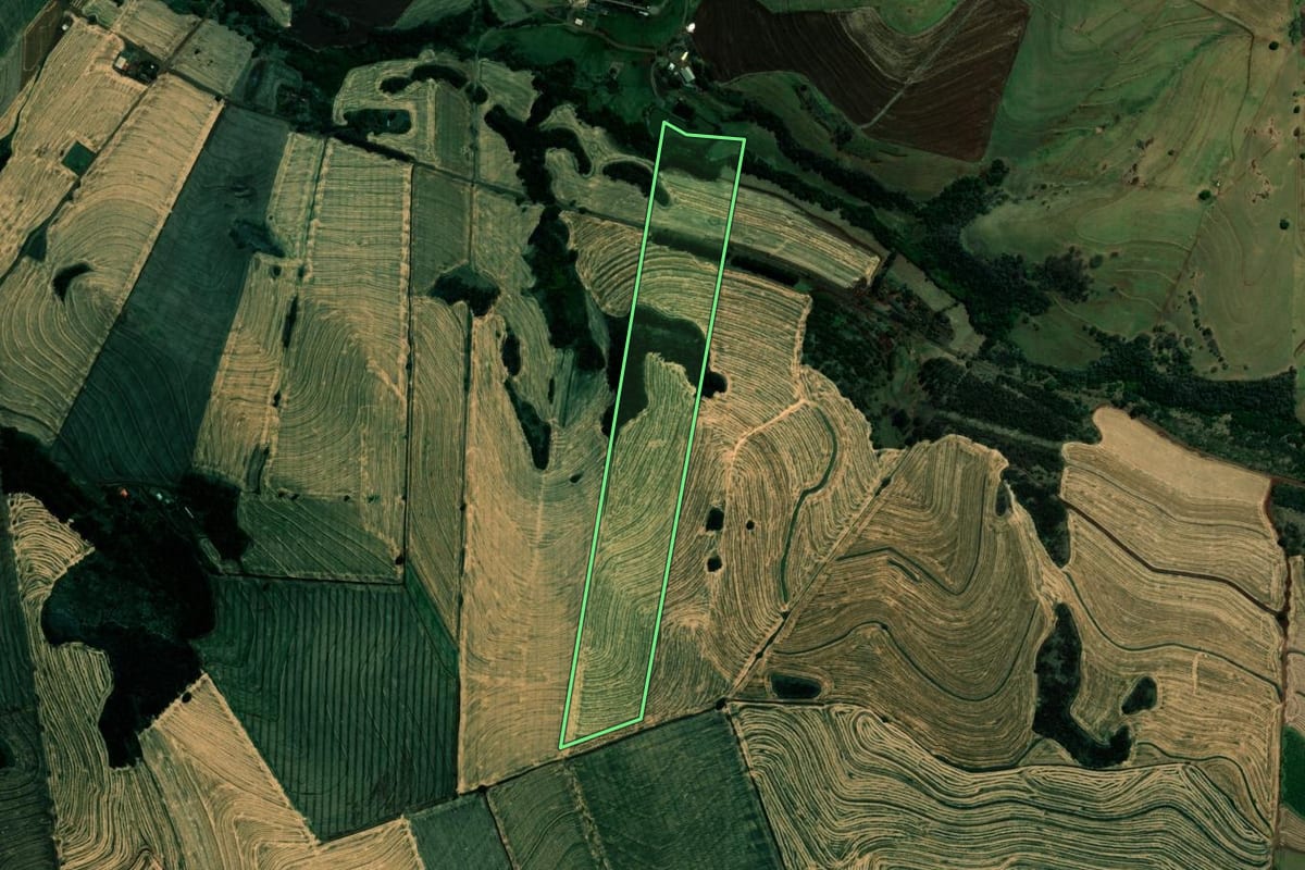 Imagem de satélite do imóvel rural em Assaí (PR), com o contorno declarado no CAR desenhado por cima.