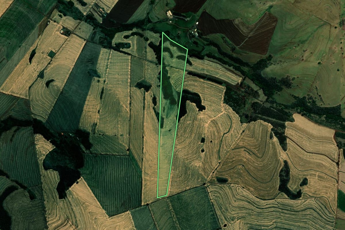 Imagem de satélite do imóvel rural em Assaí (PR), com o contorno declarado no CAR desenhado por cima.