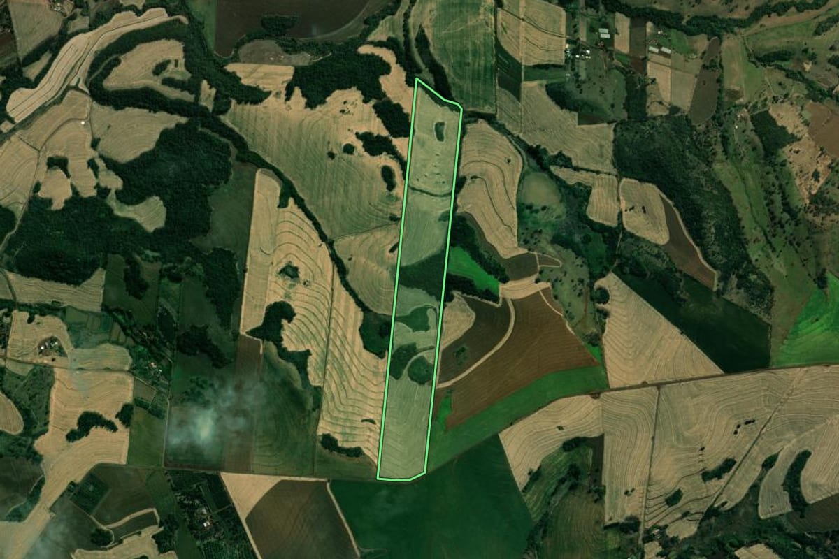 Imagem de satélite do imóvel rural em Assaí (PR), com o contorno declarado no CAR desenhado por cima.