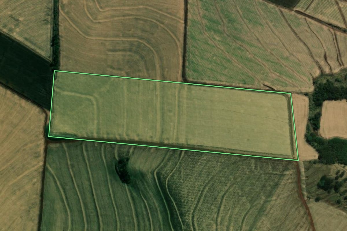 Imagem de satélite do imóvel rural em Assaí (PR), com o contorno declarado no CAR desenhado por cima.
