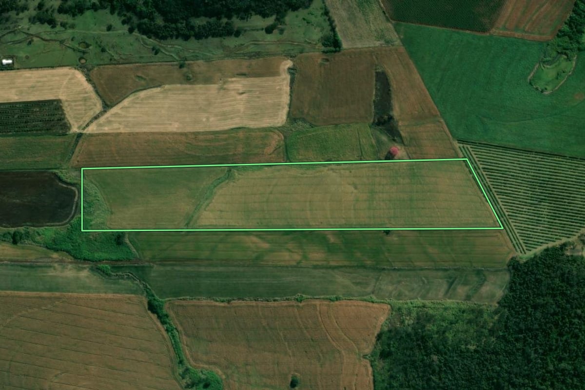 Imagem de satélite do imóvel rural em Assaí (PR), com o contorno declarado no CAR desenhado por cima.