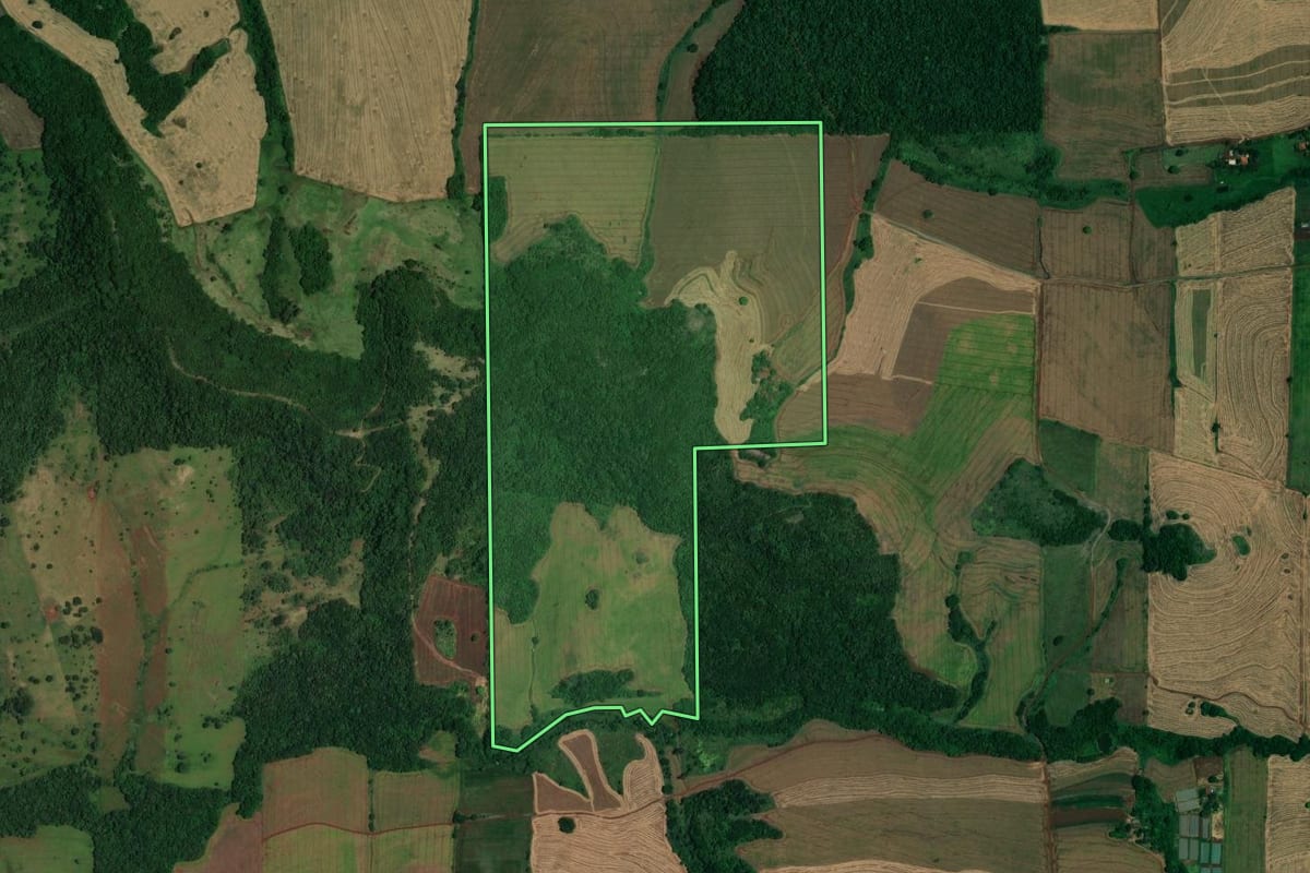 Imagem de satélite do imóvel rural em Assaí (PR), com o contorno declarado no CAR desenhado por cima.