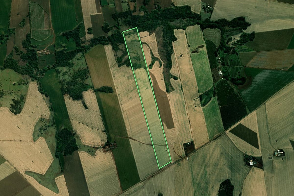 Imagem de satélite do imóvel rural em Assaí (PR), com o contorno declarado no CAR desenhado por cima.