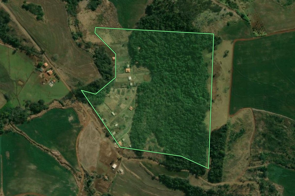 Imagem de satélite do imóvel rural em Assaí (PR), com o contorno declarado no CAR desenhado por cima.