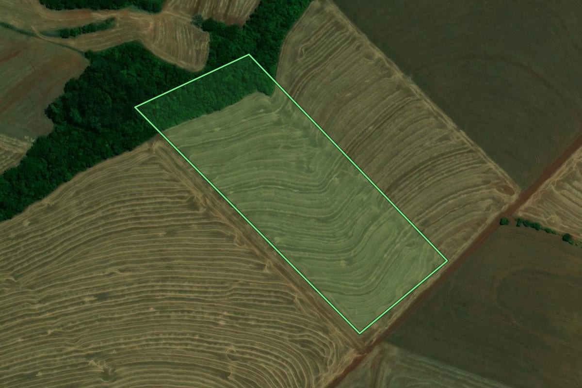 Imagem de satélite do imóvel rural em Assis Chateaubriand (PR), com o contorno declarado no CAR desenhado por cima.