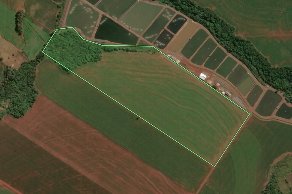 Imagem de satélite do imóvel rural em Assis Chateaubriand (PR), com o contorno declarado no CAR desenhado por cima.