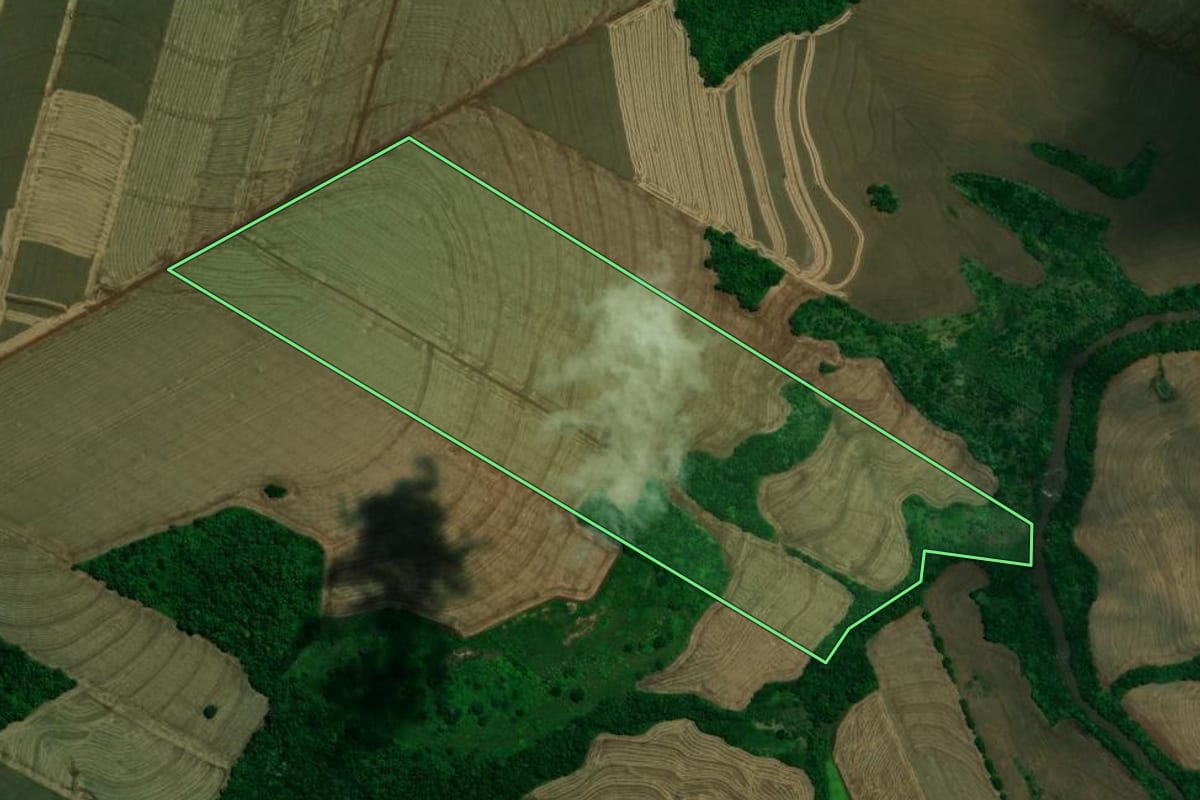 Imagem de satélite do imóvel rural em Assis Chateaubriand (PR), com o contorno declarado no CAR desenhado por cima.