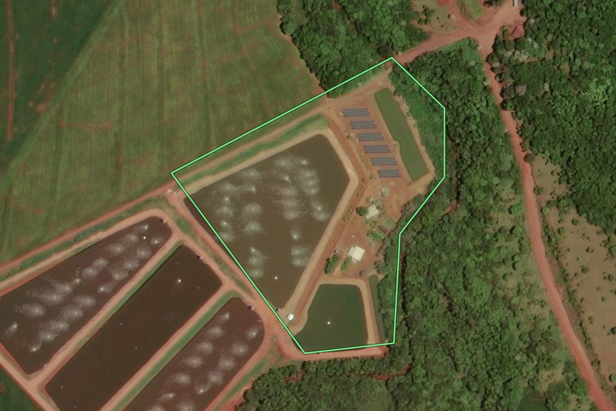 Imagem de satélite do imóvel rural em Assis Chateaubriand (PR), com o contorno declarado no CAR desenhado por cima.