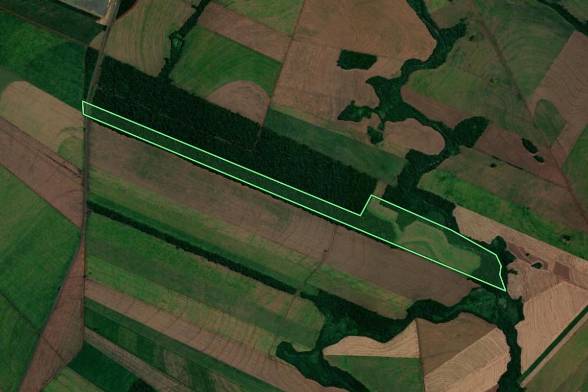 Imagem de satélite do imóvel rural em Assis Chateaubriand (PR), com o contorno declarado no CAR desenhado por cima.