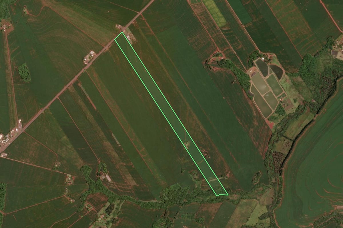 Imagem de satélite do imóvel rural em Assis Chateaubriand (PR), com o contorno declarado no CAR desenhado por cima.