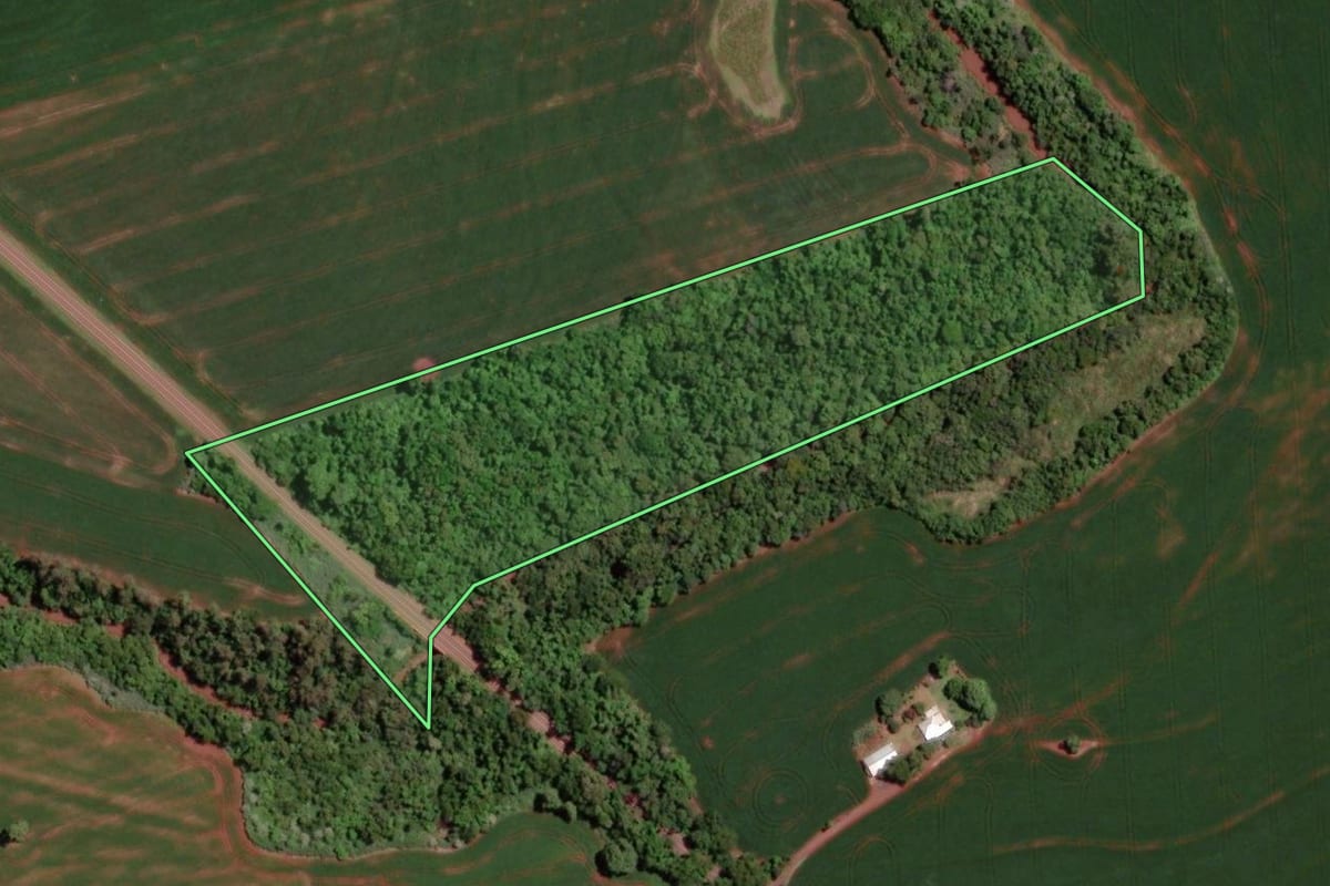 Imagem de satélite do imóvel rural em Assis Chateaubriand (PR), com o contorno declarado no CAR desenhado por cima.