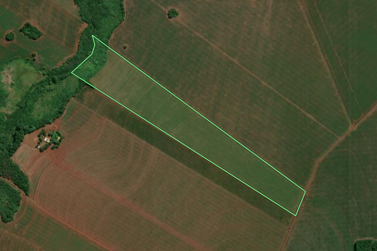 Imagem de satélite do imóvel rural em Assis Chateaubriand (PR), com o contorno declarado no CAR desenhado por cima.