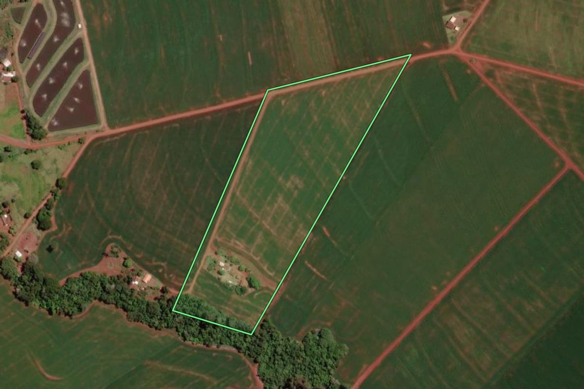 Imagem de satélite do imóvel rural em Assis Chateaubriand (PR), com o contorno declarado no CAR desenhado por cima.