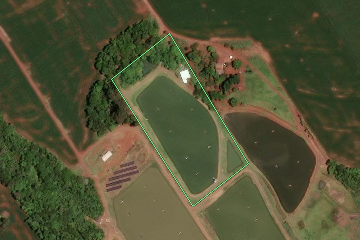 Imagem de satélite do imóvel rural em Assis Chateaubriand (PR), com o contorno declarado no CAR desenhado por cima.