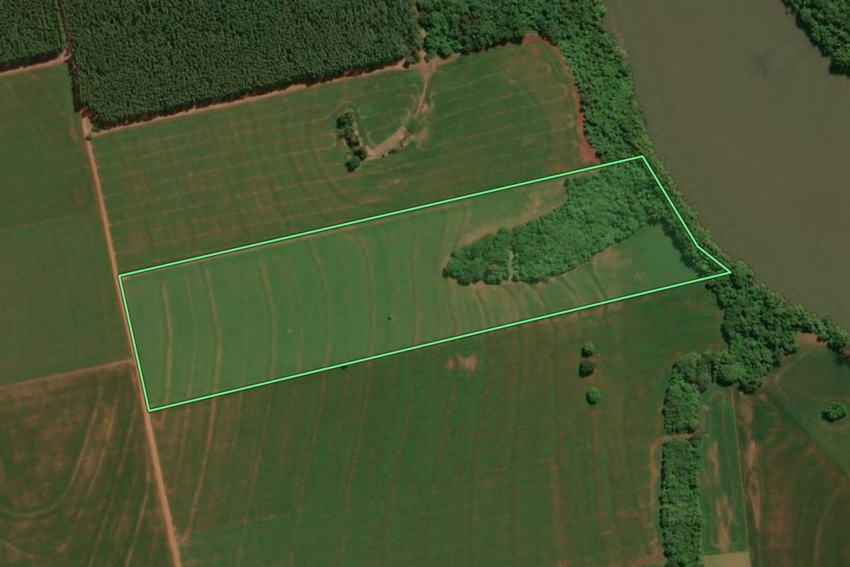Imagem de satélite do imóvel rural em Assis Chateaubriand (PR), com o contorno declarado no CAR desenhado por cima.