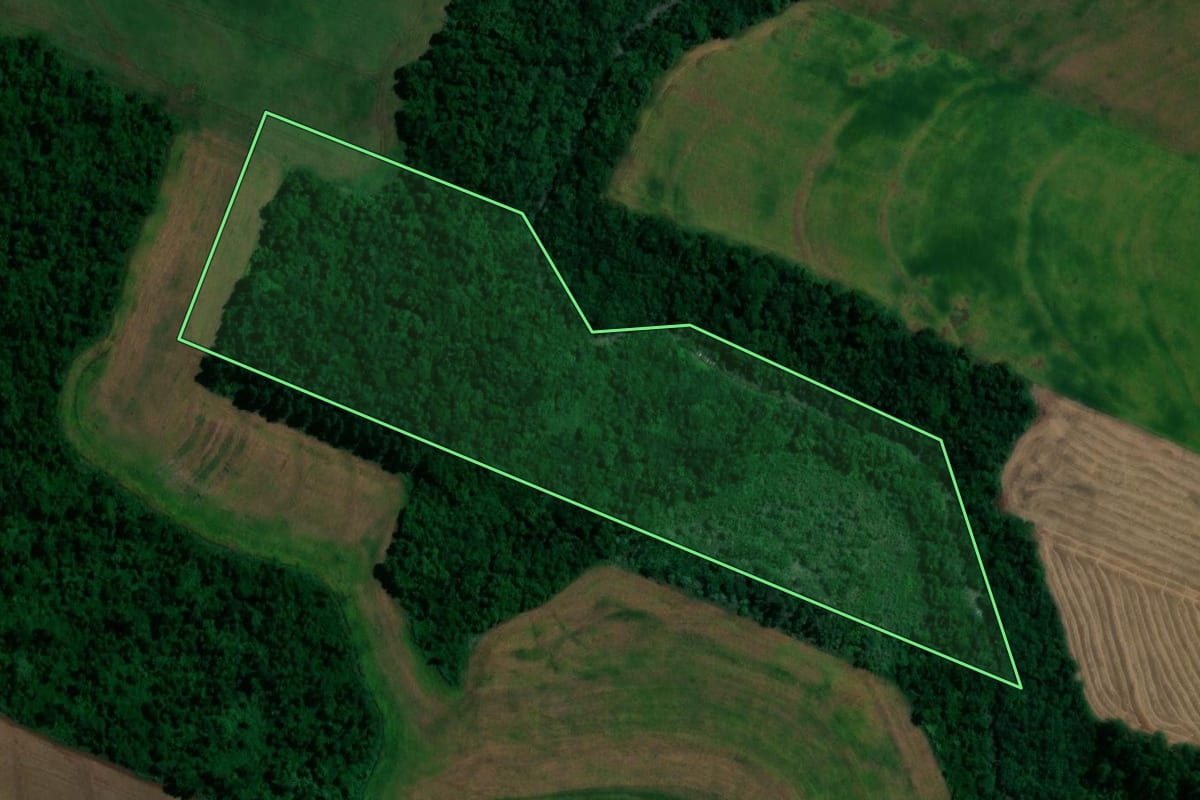 Imagem de satélite do imóvel rural em Assis Chateaubriand (PR), com o contorno declarado no CAR desenhado por cima.