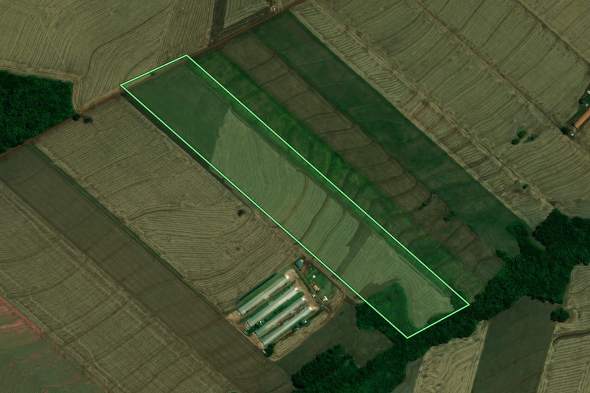 Imagem de satélite do imóvel rural em Assis Chateaubriand (PR), com o contorno declarado no CAR desenhado por cima.