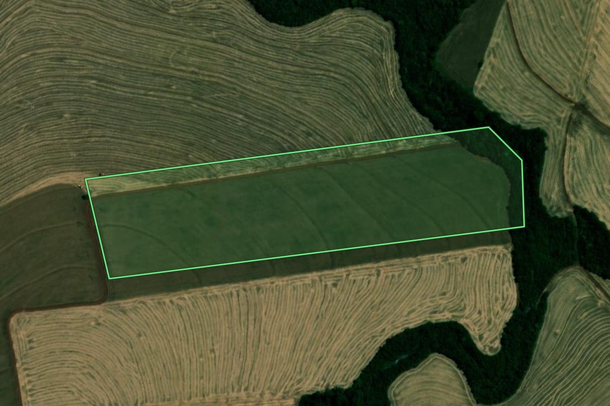 Imagem de satélite do imóvel rural em Assis Chateaubriand (PR), com o contorno declarado no CAR desenhado por cima.