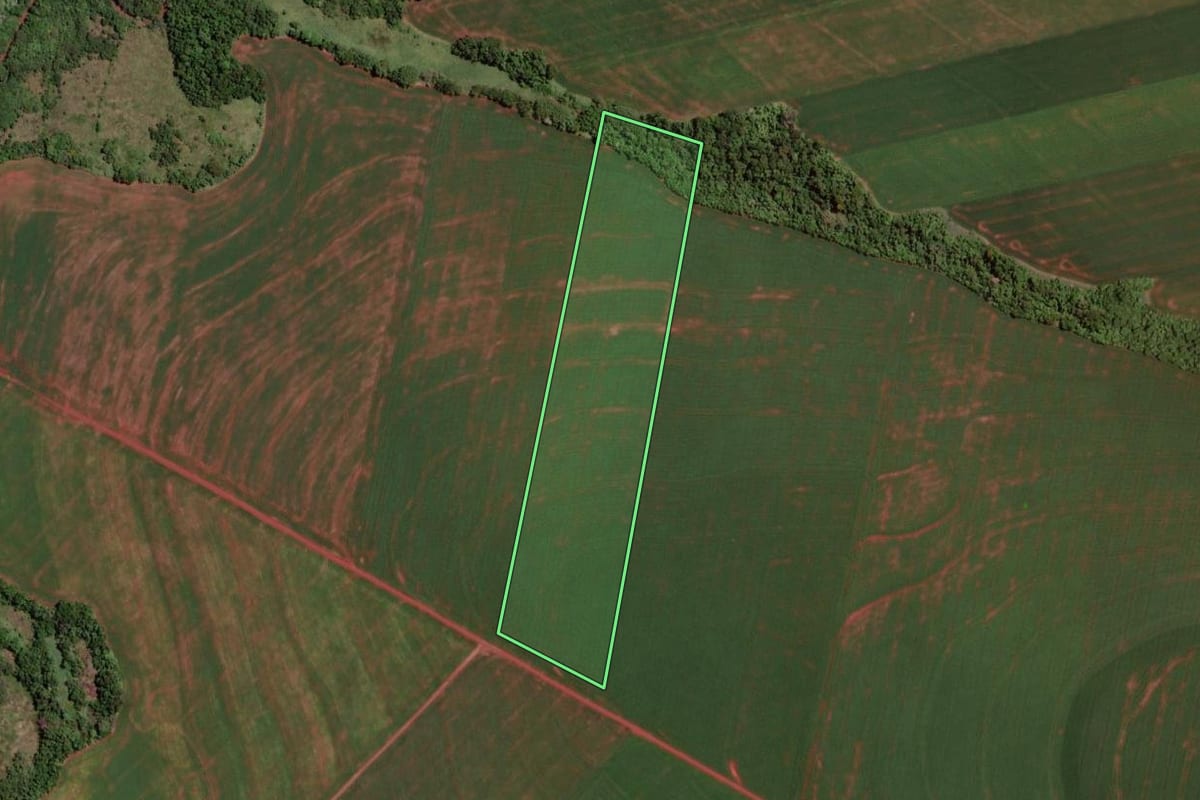 Imagem de satélite do imóvel rural em Assis Chateaubriand (PR), com o contorno declarado no CAR desenhado por cima.