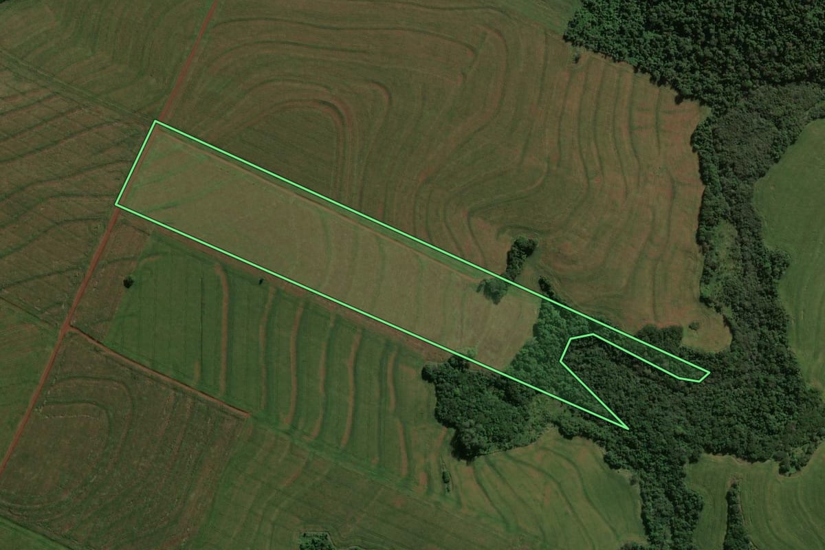 Imagem de satélite do imóvel rural em Assis Chateaubriand (PR), com o contorno declarado no CAR desenhado por cima.