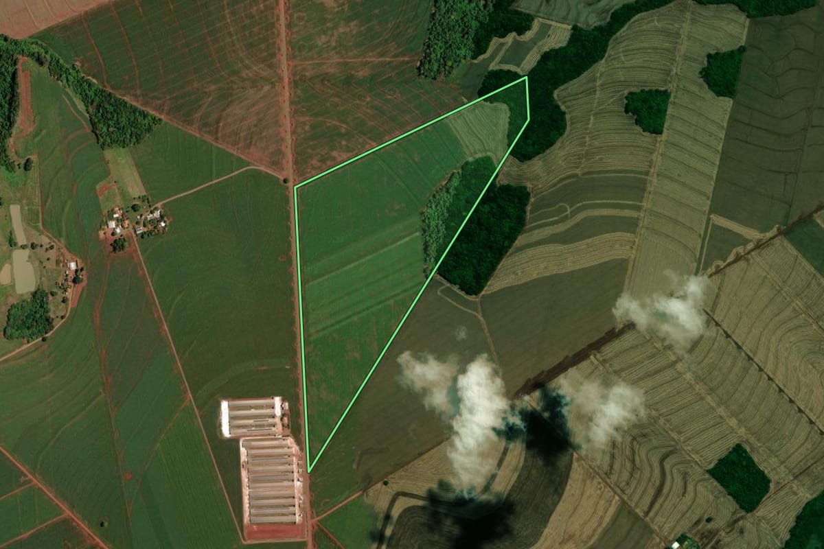 Imagem de satélite do imóvel rural em Assis Chateaubriand (PR), com o contorno declarado no CAR desenhado por cima.