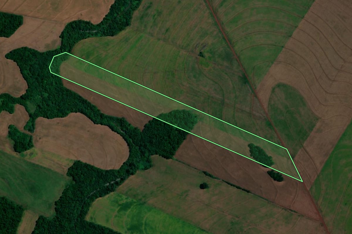 Imagem de satélite do imóvel rural em Assis Chateaubriand (PR), com o contorno declarado no CAR desenhado por cima.