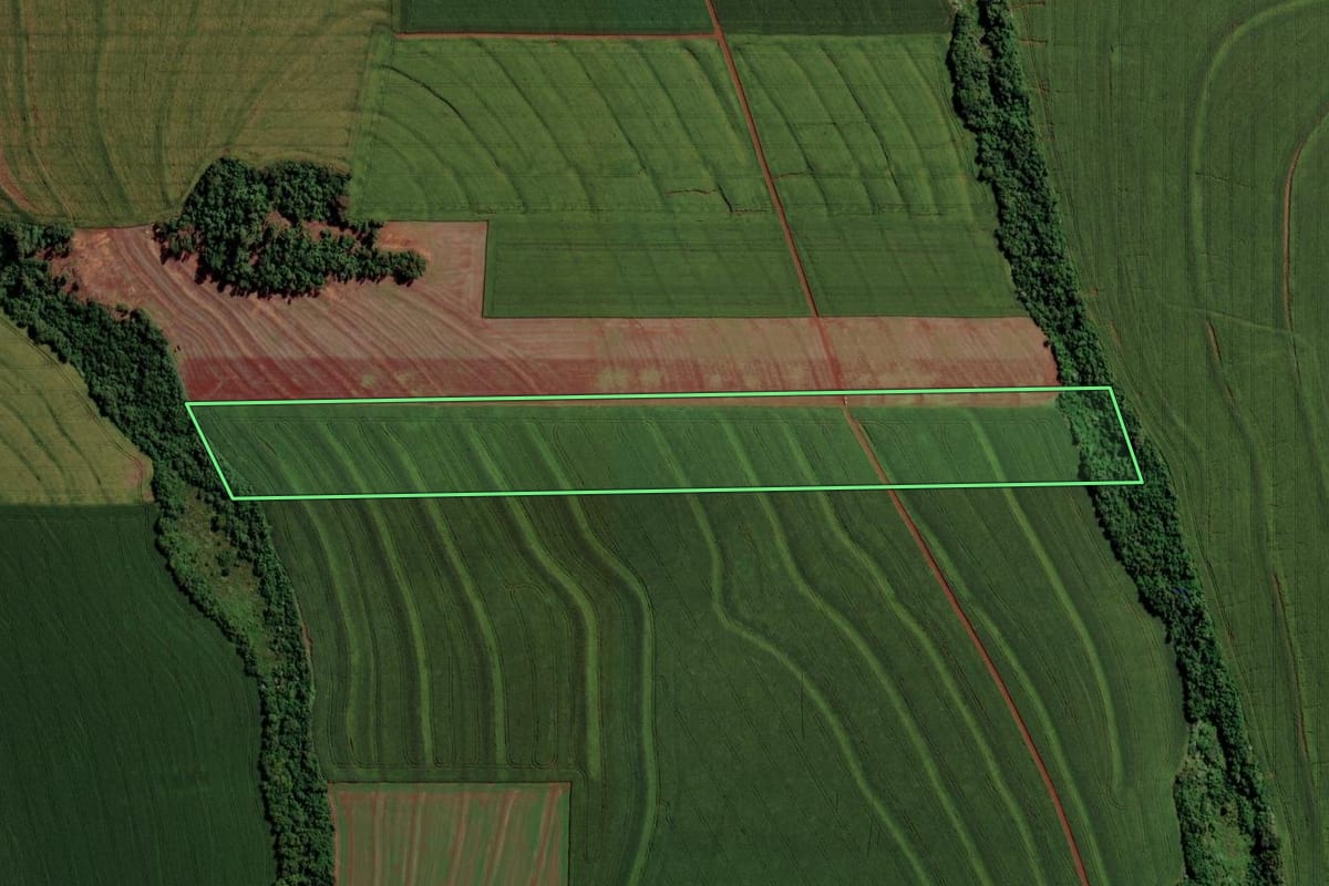 Imagem de satélite do imóvel rural em Assis Chateaubriand (PR), com o contorno declarado no CAR desenhado por cima.