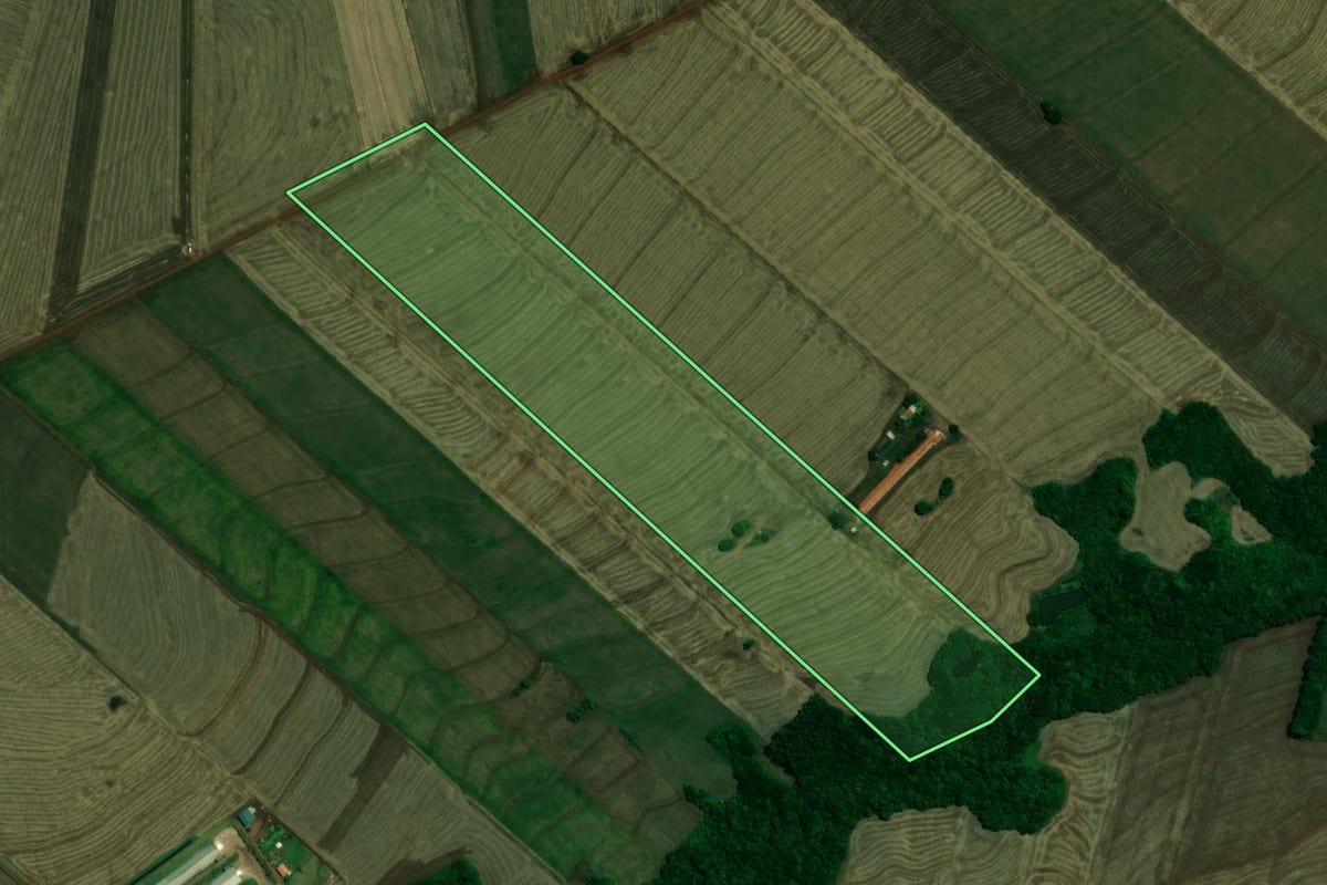 Imagem de satélite do imóvel rural em Assis Chateaubriand (PR), com o contorno declarado no CAR desenhado por cima.