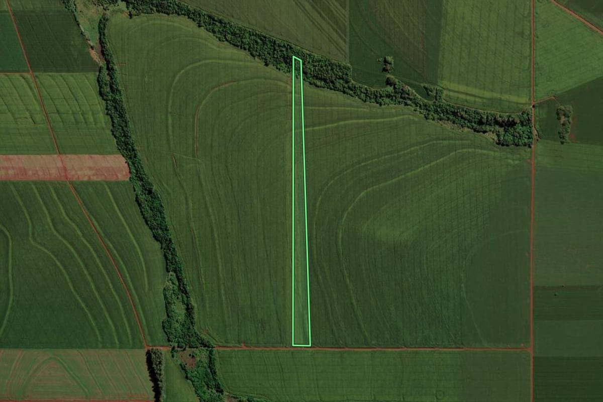 Imagem de satélite do imóvel rural em Assis Chateaubriand (PR), com o contorno declarado no CAR desenhado por cima.