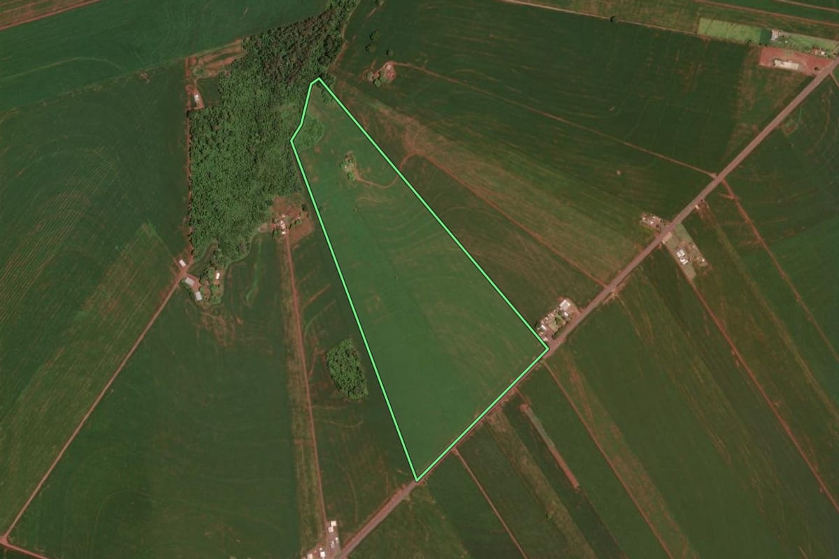 Imagem de satélite do imóvel rural em Assis Chateaubriand (PR), com o contorno declarado no CAR desenhado por cima.