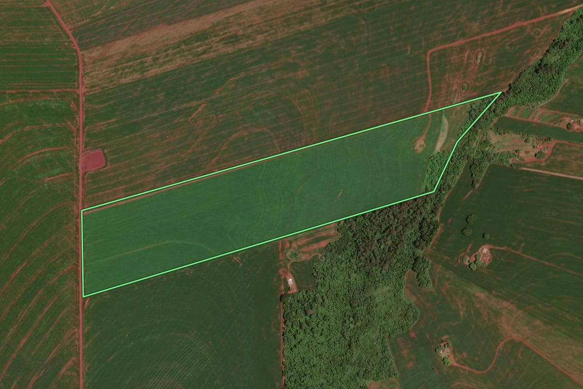 Imagem de satélite do imóvel rural em Assis Chateaubriand (PR), com o contorno declarado no CAR desenhado por cima.